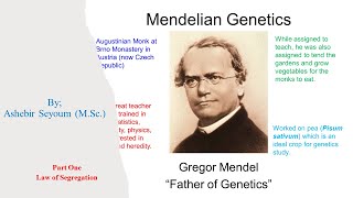 Mendelian Genetics Part One ሜንደሊያን ጄኔቲክስ በአማርኛ [upl. by Largent275]