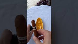 Smoking a Guantanamera Cristales Cuban Cigar [upl. by Endaira]