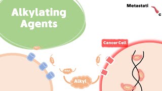 Antineoplastic agent Mechanism of action [upl. by Annaeed]