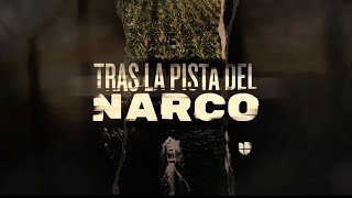 Tras la pista del narco  La serie completa [upl. by Naujed103]