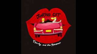 Junkyard Cat Official Audio [upl. by Nylekcaj]