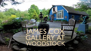 James cox gallery 6 5 24 [upl. by Huskey]