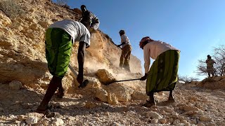 Dhabbaaqa Dawga Geela iyo Gawaarida puntland [upl. by Lledo47]