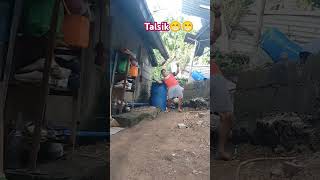 TALSIK PINITIK viralvideo trending shorts ytshort subcribe edit [upl. by Narak]