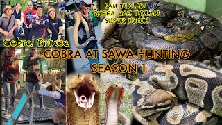 COBRA AT SAWA HUNTING SEASON 1 SAM TUKLAWRUFFA MAE TUKLAWSUPER KOKOK [upl. by Halsted]