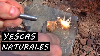 YESCAS NATURALES para ENCENDER FUEGO con CHISPAS o LUPA [upl. by Terryn]