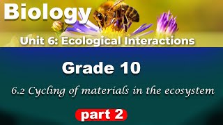 Grade 10 biology unit 6 part 2  Ecological interactions  cycling of materials in the ecosystem [upl. by Inkster108]