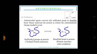 mechanism of action for antimicrobial agents By Ms Deepika [upl. by Aitam413]