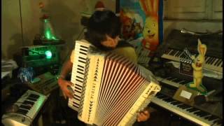 GUILTY  mike oldfield  ACCORDION VERSION [upl. by Icat262]