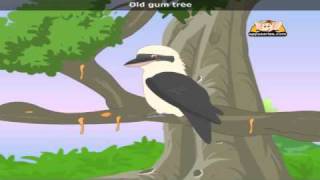 Kookaburra with Lyrics  Nursery Rhyme [upl. by Ezri]