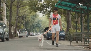 HUFT Multipurpose Dog Leash [upl. by Iaka]