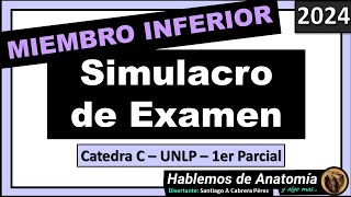 🔴👉SIMULACRO DE EXAMEN  MIEMBRO INFERIOR 🟪 ANATOMIA C  2024 [upl. by Serg78]