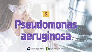 유해물질 마이크로러닝 Pseudomonas aeruginosa [upl. by Ailati]