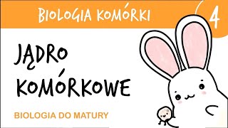 Cytologia 4  Jądro komórkowe  biologia rozszerzona matura liceum przygotowanie do matury z biologi [upl. by Ailel]