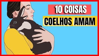 10 coisas que coelhos adoram como cuidar de coelho [upl. by Dukie710]