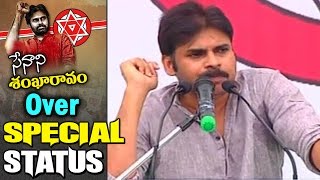 Pawan Kalyan Over Special Status  Janasena Prasthanam  NTV [upl. by Nadabb219]