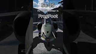 My NATO callsign is☠️ warthunder warthundermemes edit music shorts fyp memes jets trend [upl. by Norym]