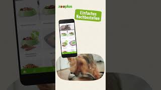 Herzlich willkommen bei der zooplus App [upl. by Candida]