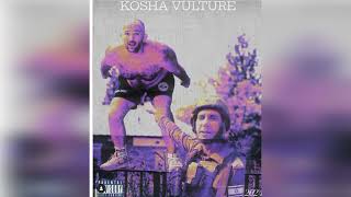 Dizaster  KOSHA VULTURE KOSHA Dillz Diss [upl. by Anma]