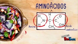 Aminoácidos peptídeos proteínas e enzimas [upl. by Kensell497]