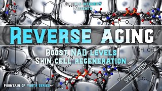 REVERSE AGING ★Boost NAD Levels  Skin Cell Regeneration★ [upl. by Yumuk]