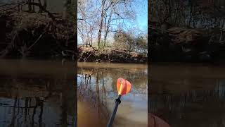 catching fish on the Tallapoosa Maybe [upl. by Waldemar140]