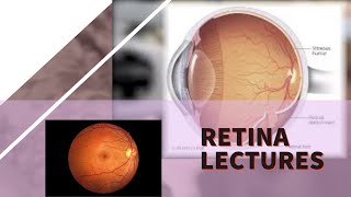 RETINA lecture 9 HYPERTENSIVE RETINOPATHY easiest explanation with details of every word [upl. by Ahab]