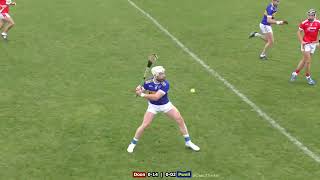 Doon vs Patrickswell 2024 Limerick Senior County Hurling Semi Final [upl. by Targett]