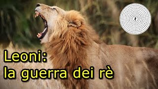 Leoni la guerra dei rè  DOCUMENTARIO [upl. by Le]