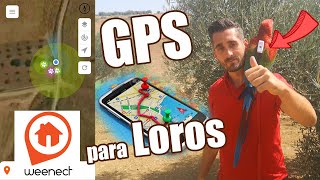 localizador GPS que utilizan mis LOROS [upl. by Giuliana455]