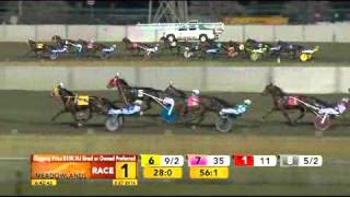 Meadowlands February 27 2016  Race 1  UF Fast Feelin [upl. by Yliram74]