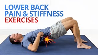 INSTANT RELIEF from Lower Back Pain and Stiffness 4 EASY Exercises [upl. by Akahs963]