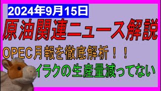 OPEC月報を徹底解析！イラク生産量減らすって言ってたのに！WTI原油先物価格見通し 2024年9月15日時点 [upl. by Meid]