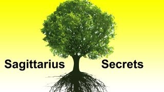 Mula Nakshatra Vedic Astrology Sagittarius Horoscope Secrets Ep 18 [upl. by Dnomaj]