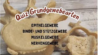 Quiz Anatomie Physiologie Organsysteme  Interne Prüfung Teil 3 Grundgewebearten Histologie [upl. by Adnahcal244]