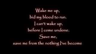 Linkin Park amp Evanescence  Wake Me Up Inside  Music Lyrics HD [upl. by Nirihs]