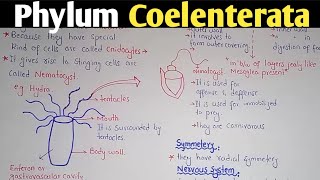 General characteristics Of Phylum Coelenterata  Phylum Cnidaria [upl. by Auric]