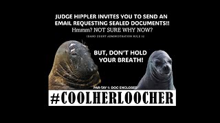 BRYAN KOHBERGER HIPPLER amp HIS SEALS EMAIL IF YOU WANT A COPY OF SEALED DOCUMENT  WHATS THE COST [upl. by Iams385]