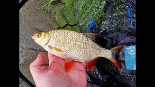 Edge fishing for A Mixed Bag At Messingham Sands [upl. by Ahtanaram767]