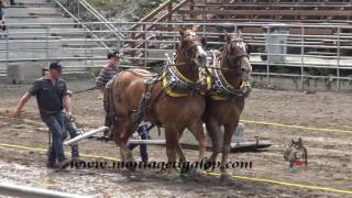 Festival country st antonin Tire de chevaux 7000 lb 18 Juin 2017 [upl. by Kirrad]