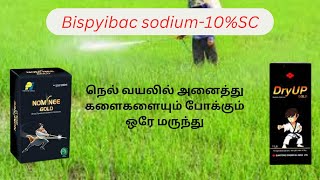 Nominee Gold  Bispyribac sodium 10SCTamil  herbicides [upl. by Penrose]