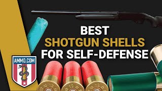 The Best Shotgun Shells for Home Defense Defend Your Castle [upl. by Eelsnia]