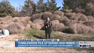 South Lubbock residents blame City Code Department for tumbleweed take over [upl. by Onyx]