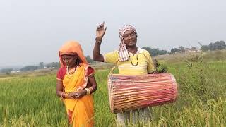 भादो महीना का देखो हाल अघन गीत  डमकच गीत नागपुरी  bhado mahina ka detu HAL  agahan geet [upl. by Aramas]