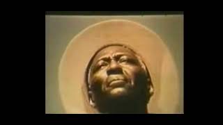 Huddie Leadbelly Ledbetter  In the Pines [upl. by Angadreme]