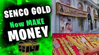 SENCO GOLD Buy now good returns 2025 [upl. by Nraa]