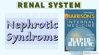 NEPHROTIC SYNDROME  Definition  Causes  Clinical Features  Treatment  Rapid Review  Harrison [upl. by Castorina]