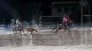 quotSpikequotquot Team Roping Head Horse for sale by wwwjakebarnescom [upl. by Gerry]