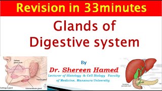 2021 revision of glands of digestive system [upl. by Lenore700]