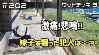 ≪週末DIYから始める移住への道≫ ＃202 激痛！嫁子を襲った犯人は○○！猛暑日のスコップ作業でヘロヘロになりました。ウッドデッキDIY③≪アラフィフ開拓≫ [upl. by Lathe]